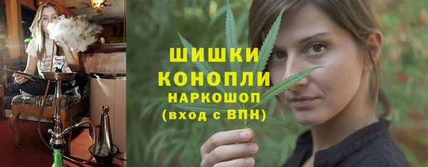 spice Осинники