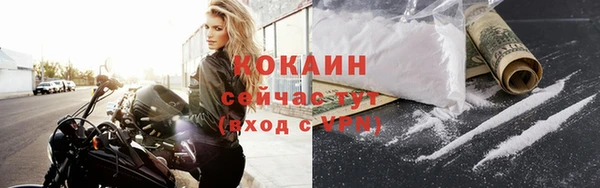 spice Осинники