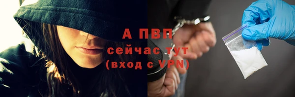 spice Осинники