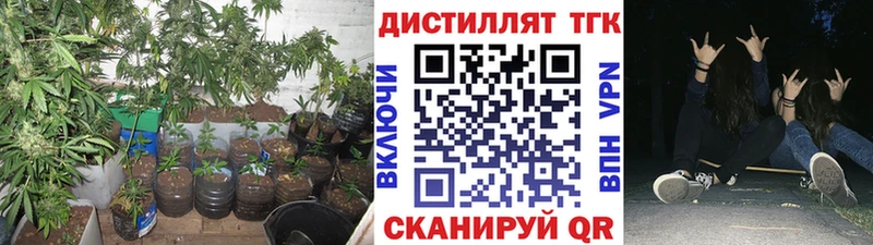 Дистиллят ТГК вейп с тгк  Купить  Терек 