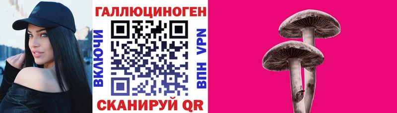 Купить где  Терек  Псилоцибиновые грибы ЛСД 